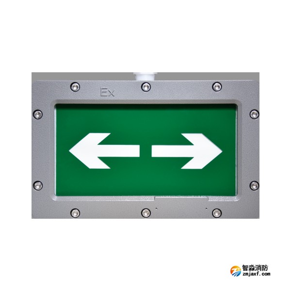 天津海灣HW-BLJC-1LREI0.5W-VN850單面雙向應急疏散指示燈