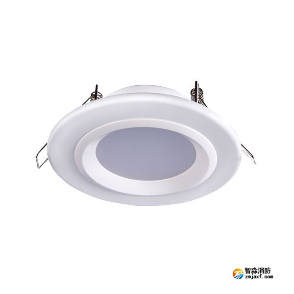 天津海灣HW-ZFJC-E6W-N621集中電源集中控制型消防應(yīng)急照明燈具