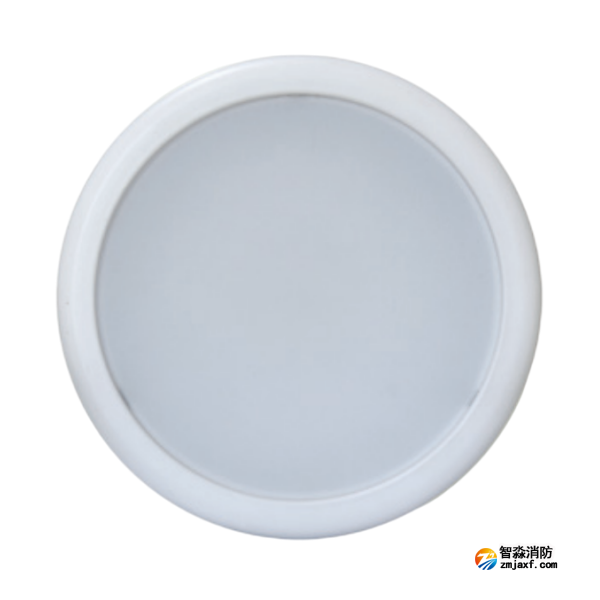 天津海灣HW-ZFJC-E9W-N657集中電源集中控制型消防應(yīng)急照明燈具